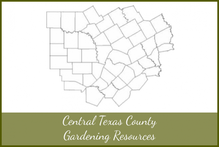 Central Texas County Gardening