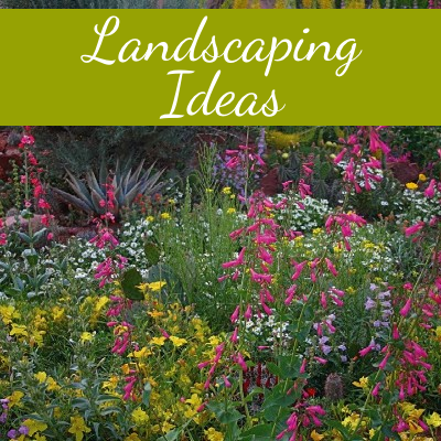 Central Texas Landscaping Ideas